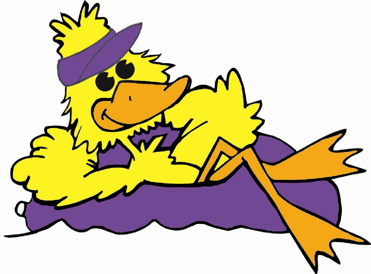 Duck Picture